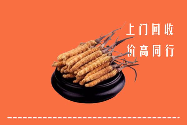 威海环翠区回收散虫草