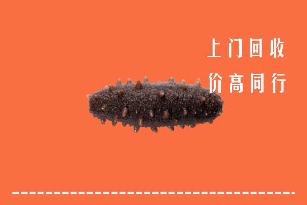 高价求购：威海环翠区回收海参