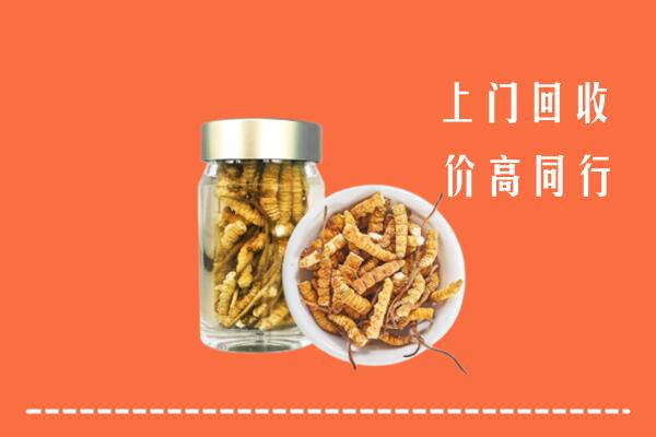 威海环翠区回收冬虫夏草