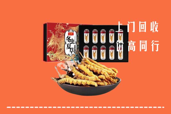 威海环翠区回收虫草